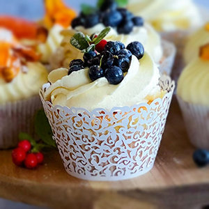 Blueberry Muffin