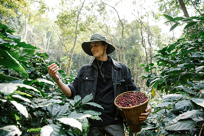 Barista preparing coffee with care